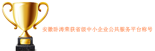 安徽卧涛获省中小企业公共服务示范平台服务机构荣誉资质