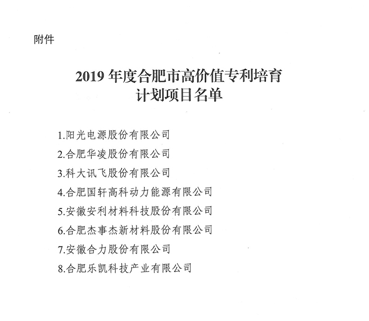 合肥市高价值专利公示名单