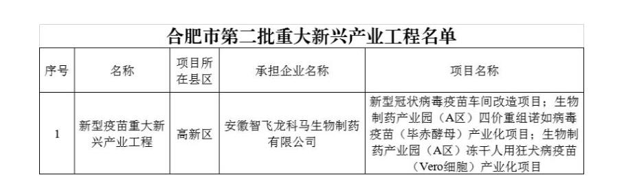 合肥市第二批重大新兴产业工程和重大新兴产业专项名单